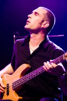 Bohusch_Bluebird_brokenfamilyband05web