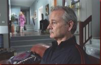 broken_flowers_bill_murray_julie_delpy broken_flowers_bill_murray_julie_delpy