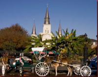 new_orleans
