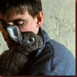 sehnsucht06 sehnsucht06