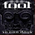 tool_10000_days
